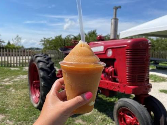 Apple Cider Slushie No Toppings