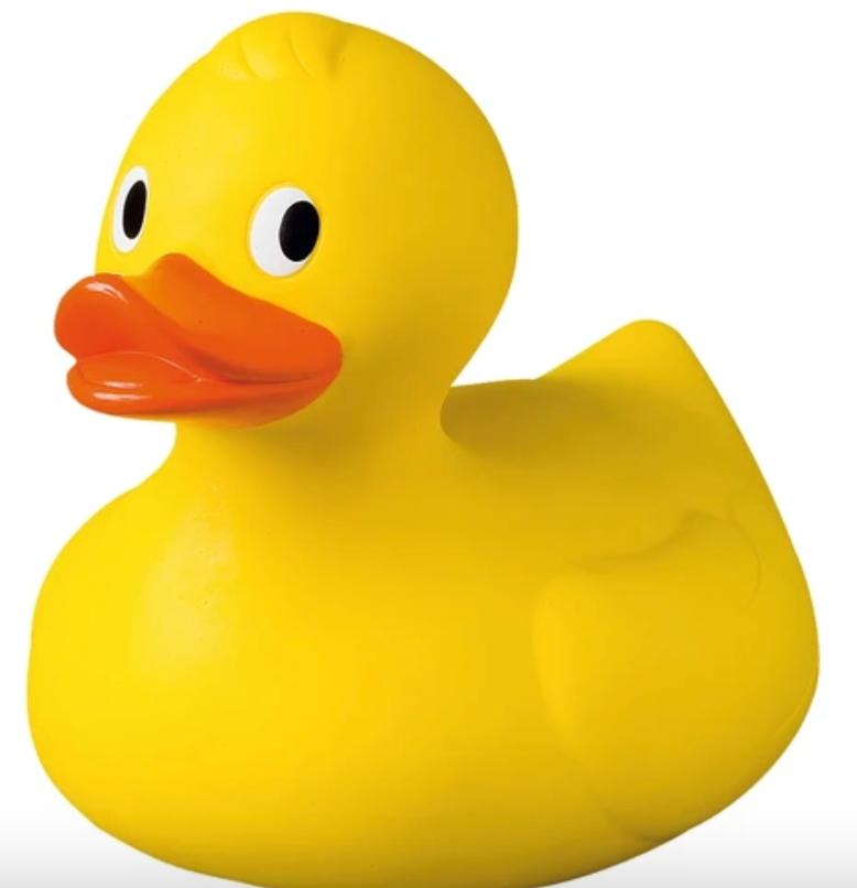 Duck Race